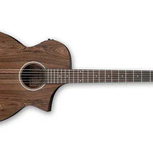 Ibanez AEWC31BC-OPN Westerngitarre Open Pore Natural Direktkauf