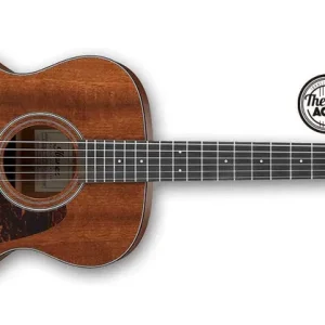 Ibanez AVC9-OPN Artwood Thermo Aged Kostenloser Versand