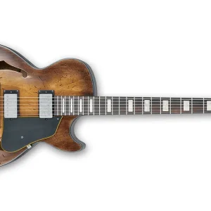 Ibanez AGV10A-TCL Artcore E-Gitarre Letzte Chance