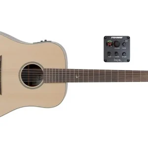 Jetzt Bestellen VGS RT-10-12E Westerngitarre 12-String