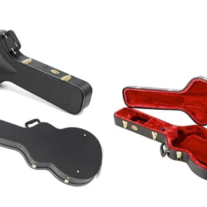 Ibanez AS-C Koffer für AS Modelle Knallerangebot