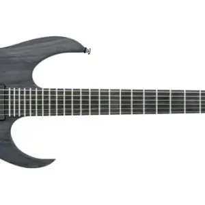 Expressversand Ibanez RGIT20FE-TGF E-Gitarre Transparent Grey Flat