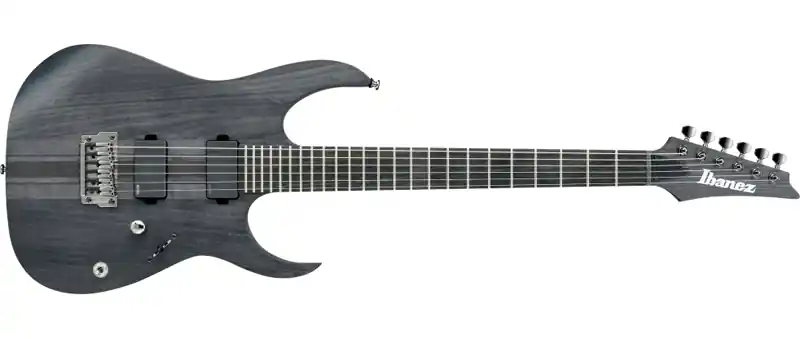 Expressversand Ibanez RGIT20FE-TGF E-Gitarre Transparent Grey Flat