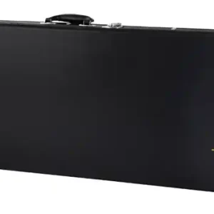Begrenztes Angebot Epiphone Hard Case für Thunderbird E-Bässe