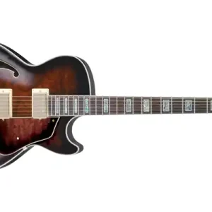 Ausverkauf Ibanez AG95-DBS Artcore E-Gitarre