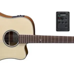 VGS RT-10CE Dreadnought Root Natural Satin Neuheit