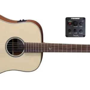 Angebot VGS RT-10E Dreadnought Root Natural Satin