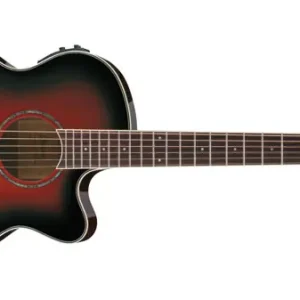 Super-Preis Ibanez AEG10II-TRS Westerngitarre
