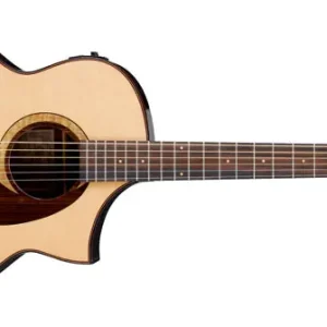 Ibanez AEW22CD-NT Westerngitarre Gratis Versand