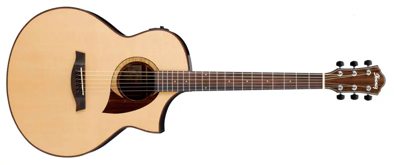 Ibanez AEW22CD-NT Westerngitarre Gratis Versand