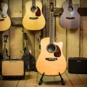 Neu Takamine EF36 Dreadnought Special Rose