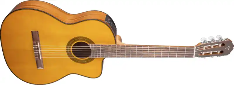 Takamine GC1CE-NAT Konzertgitarre Direktkauf
