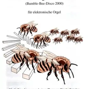 Knallerangebot Hummelflug Disco 2000 für E-Orgel