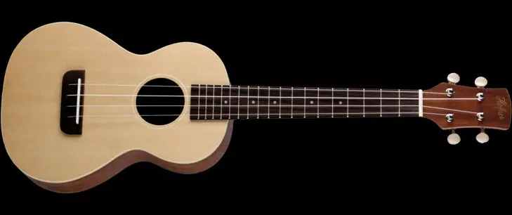 Jetzt Kaufen Höfner HU-S-TEN Ukulele