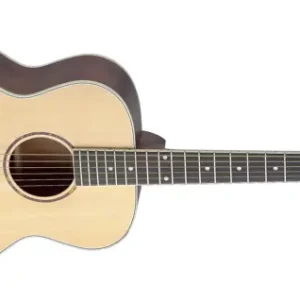 Must-Have James Neligan Travel Acoustic Westerngitarre