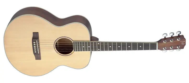 Must-Have James Neligan Travel Acoustic Westerngitarre