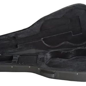 Tonträger NFS-C Noir Klassikgitarre FormCase 4/4 Jetzt Kaufen