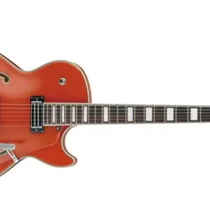 Ibanez AGR63T-TLO E-Gitarre Bestseller