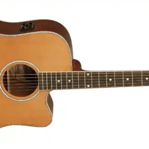 Ausverkauf Tanglewood TW28CSNCWN Westerngitarre