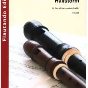 Hailstorm für 4 Blockflöten (SATB) Neu