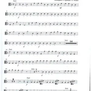 Heißes Angebot Concerto per il cembalo concertato o organo concertato e archi für Cembalo (Orgel) und Streicher