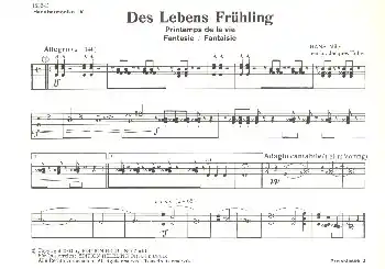 Des Lebens Frühling für Akkordeonorchester Schnäppchen