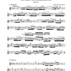 Wochenendangebot BA10021Harm Ich hatte viel Bekümmernis Kantate Nr.21 BWV21