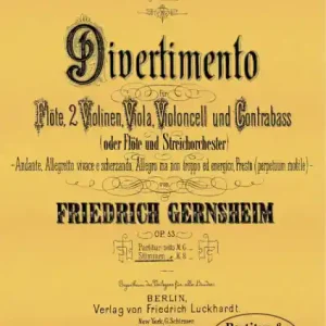 Divertimento E-Dur op.53 für Solo-Flöte mit Streichquintett oder -orchester Kostenloser Versand