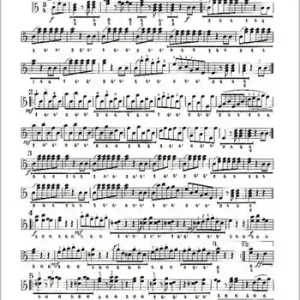 Echt SENNENGRUSS LAENDLER FUER HAND- HARMONIKA 2STIMMEN