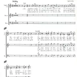 Ein Kindlein ward geboren für gem Chor, Streicher und Orgel (Bläser ad lib) Top-Angebot