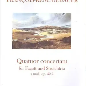 Quatuor concertant a-Moll op.40,2 für Fagott, Violine, Viola und Violoncello Online Kaufen