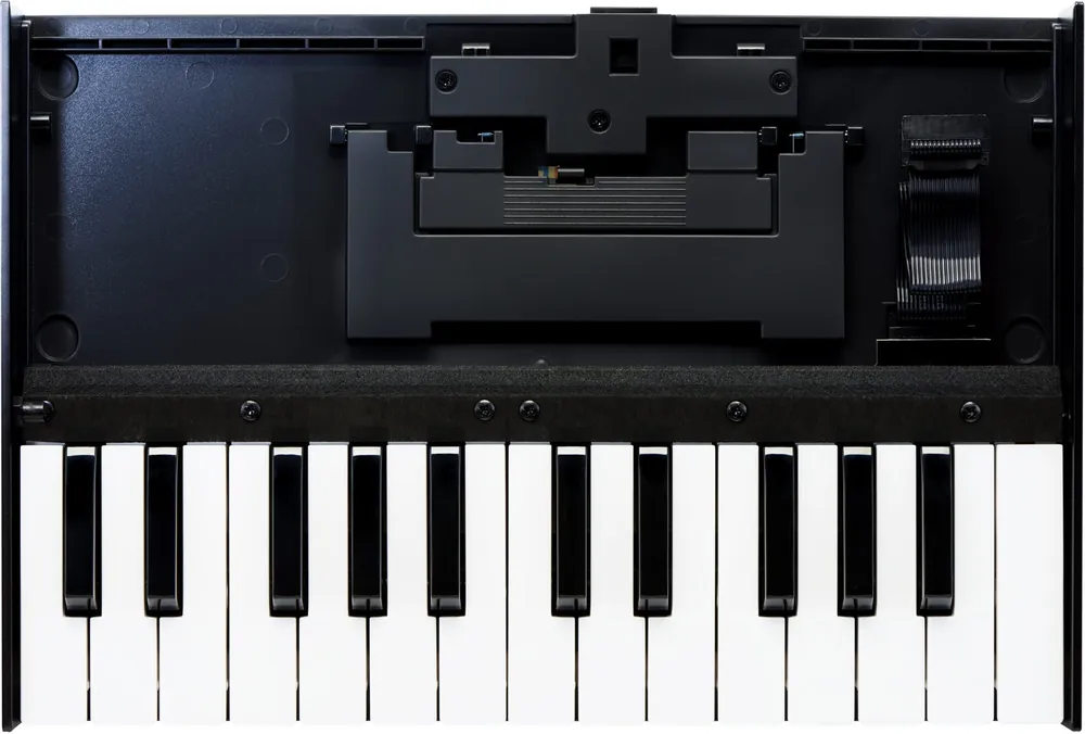 Top-Angebot Roland K-25M Keyboard Unit