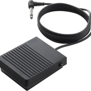 Letzte Chance Korg PS 3