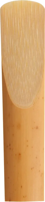 Kostenloser Rückversand Rico Select Jazz Alt-Sax 4S Unfiled