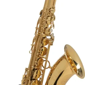 Expressversand Selmer Axos Tenor-Saxophon