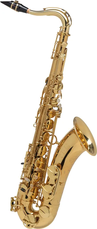Expressversand Selmer Axos Tenor-Saxophon