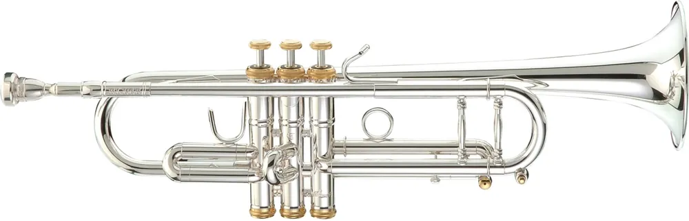 Aktuell Stomvi Elite 5335