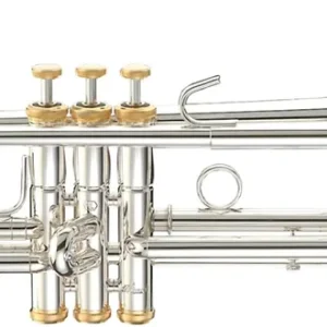 Stomvi Forte 5000 Heißes Angebot