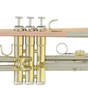 Mega-Angebot Roy Benson TR-202