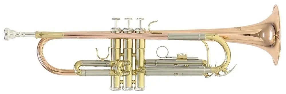 Mega-Angebot Roy Benson TR-202