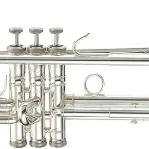 Kostenfreie Lieferung Stomvi Mahler 5313