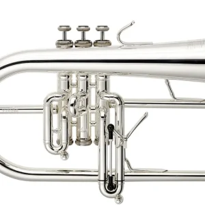 Letzte Chance Stomvi Titan 5935