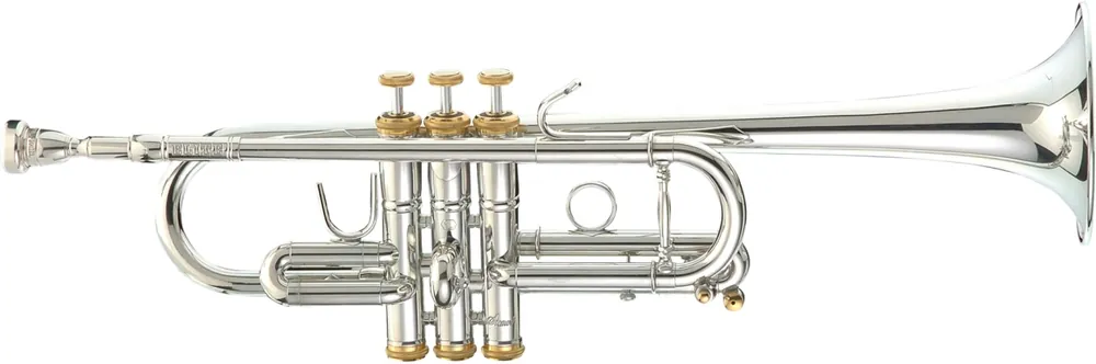 Echt Stomvi Elite 5235