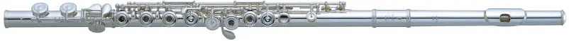 Jetzt Kaufen Pearl Flutes Dolce PF-695 RE Querflöte