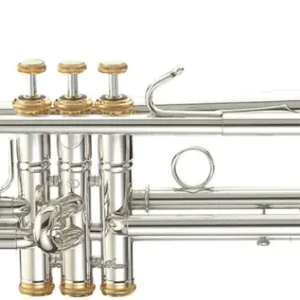 Ausverkauf Stomvi Classica 5048