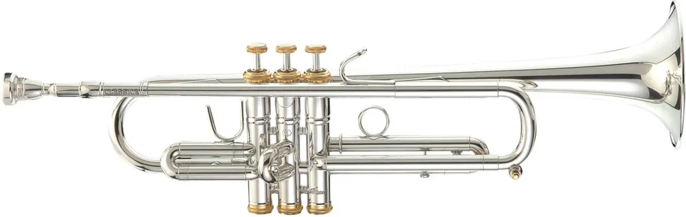 Ausverkauf Stomvi Classica 5048