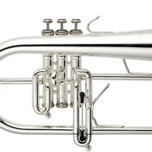 Stomvi Titan 5936 Begrenztes Angebot