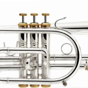 Kostenfreie Lieferung Stomvi Elite 5825