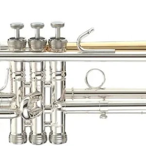 Saisonangebot Stomvi Master 5381