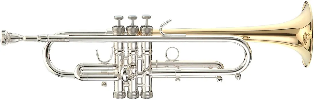 Saisonangebot Stomvi Master 5381